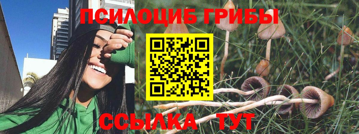 Псилоцибиновые грибы Psilocybine cubensis Алатырь