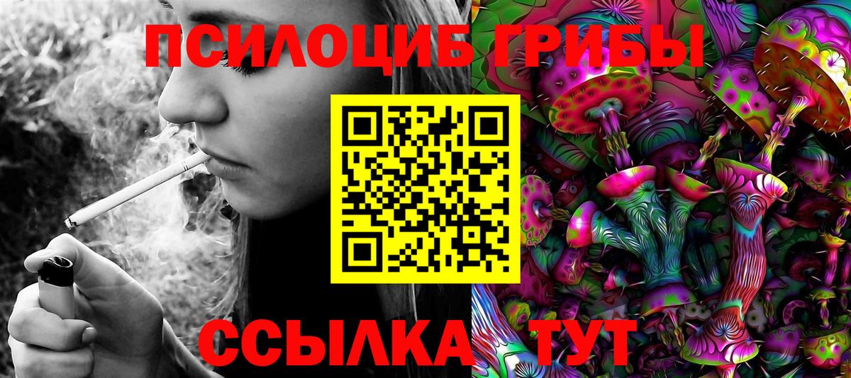 цена   Галлюциногенные грибы Magic Shrooms  Вход с VPN  Алатырь 