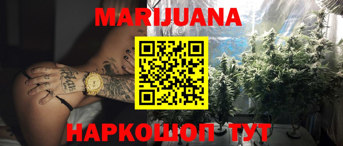 Бошки Шишки семена Алатырь